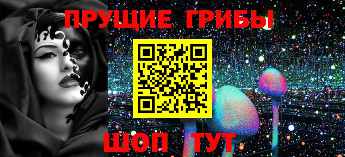 Псилоцибиновые грибы Psilocybine cubensis Нефтеюганск